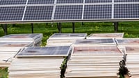 How Resellers Can Avoid Buying & Selling Solar Panel Waste