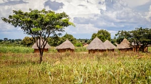 Grass huts in Africa