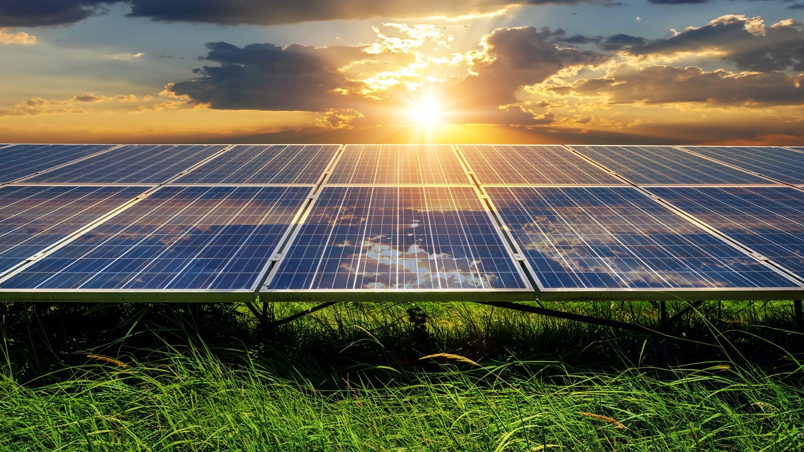 EB Insights Ep 14_Re-Imagining Solar Distribution